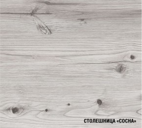 АСАЯ Кухонный гарнитур Экстра 2 (3000 мм) ПМ в Александровском - alexsandrovskoe.ok-mebel.com | фото 8