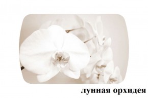 БОСТОН - 3 Стол раздвижной Лунная орхидея 1100/1420 опоры Триумф в Александровском - alexsandrovskoe.ok-mebel.com | фото 2