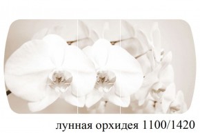 БОСТОН - 3 Стол раздвижной Лунная орхидея 1100/1420 опоры Триумф в Александровском - alexsandrovskoe.ok-mebel.com | фото 3