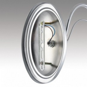 Бра Lumion INCANTO 8034/1W в Александровском - alexsandrovskoe.ok-mebel.com | фото 7