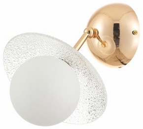 Бра Rivoli Jacqueline Б0066444 в Александровском - alexsandrovskoe.ok-mebel.com | фото
