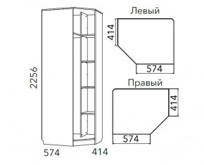 Детская Фанк Шкаф угловой Левый/Правый НМ 013.04-02 М в Александровском - alexsandrovskoe.ok-mebel.com | фото 3