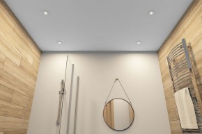 DK2036-WH Встраиваемый светильник влагозащ., IP 44, до 15 Вт, GU10, LED, белый, алюминий в Александровском - alexsandrovskoe.ok-mebel.com | фото 5