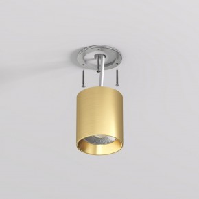 DK2610-SB Накладной светильник SHINE TUBE со светодиодом, D70*H80, IP20, 3000К, 10W, RA?90, сатинированная латунь, алюминий в Александровском - alexsandrovskoe.ok-mebel.com | фото 3