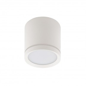 DK4013-WH Светильник накладной IP 20, 5 Вт, LED 4000, белый, алюминий/акрил в Александровском - alexsandrovskoe.ok-mebel.com | фото 2