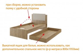 Дуглас (подростковая) М14 Кровать в Александровском - alexsandrovskoe.ok-mebel.com | фото 5