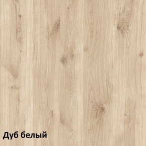 Эйп Шкаф для одежды 13.334 в Александровском - alexsandrovskoe.ok-mebel.com | фото 5
