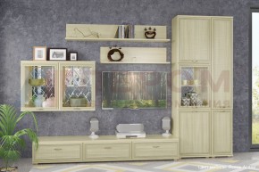 Гостиная Карина Композиция 1 (Ясень Асахи) в Александровском - alexsandrovskoe.ok-mebel.com | фото 4