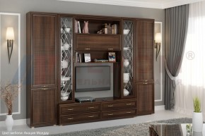 Гостиная Карина Композиция 19 (Акация Молдау) в Александровском - alexsandrovskoe.ok-mebel.com | фото 5