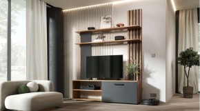 КАРОЛИНА Гостиная в Александровском - alexsandrovskoe.ok-mebel.com | фото