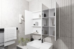Кларити Шкаф зеркальный 16.312.05 в Александровском - alexsandrovskoe.ok-mebel.com | фото 2