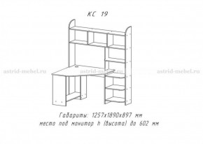 Компьютерный стол №19 (Анкор темный) в Александровском - alexsandrovskoe.ok-mebel.com | фото 3