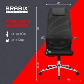 Кресло BRABIX PREMIUM "Ultimate EX-801" хром, плотная двойная сетка Х2, черное, 532917 в Александровском - alexsandrovskoe.ok-mebel.com | фото 7