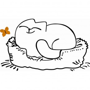 Кровать двухуровневая Кот № 900.1 ЛЕВАЯ (туя светлая/белый) в Александровском - alexsandrovskoe.ok-mebel.com | фото 2