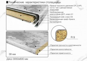 Кухонный фартук со столешницей (А-01) в едином стиле (3050 мм) в Александровском - alexsandrovskoe.ok-mebel.com | фото 6