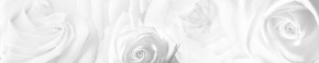 Кухонный фартук Цветы 217 МДФ матовый (3000) Flowers в Александровском - alexsandrovskoe.ok-mebel.com | фото