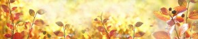 Кухонный фартук Цветы 318 МДФ матовый (3000) Flowers в Александровском - alexsandrovskoe.ok-mebel.com | фото 1