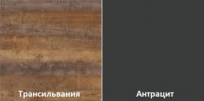 Кухонный гарнитур угловой Трансильвания 2600х1600 мм (Стол. 38 мм) в Александровском - alexsandrovskoe.ok-mebel.com | фото 3