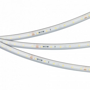 Лента светодиодная Arlight IC-PS-A60-10mm 24V 050656 в Александровском - alexsandrovskoe.ok-mebel.com | фото