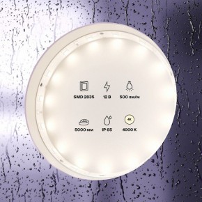 Лента светодиодная Maytoni Led strip 10106 в Александровском - alexsandrovskoe.ok-mebel.com | фото 3