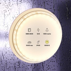 Лента светодиодная Maytoni Led strip 10117 в Александровском - alexsandrovskoe.ok-mebel.com | фото 2
