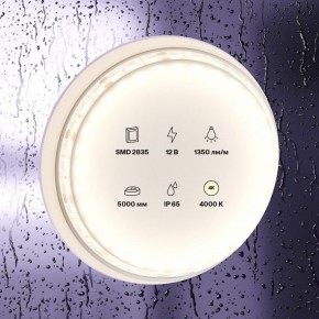 Лента светодиодная Maytoni Led strip 10118 в Александровском - alexsandrovskoe.ok-mebel.com | фото 2