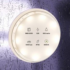 Лента светодиодная Maytoni Led strip 10124 в Александровском - alexsandrovskoe.ok-mebel.com | фото 3