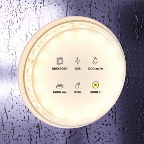 Лента светодиодная Maytoni Led strip 10131 в Александровском - alexsandrovskoe.ok-mebel.com | фото 2