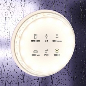 Лента светодиодная Maytoni Led strip 10132 в Александровском - alexsandrovskoe.ok-mebel.com | фото 2