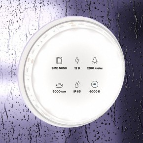 Лента светодиодная Maytoni Led strip 10133 в Александровском - alexsandrovskoe.ok-mebel.com | фото 2