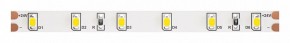 Лента светодиодная Maytoni Led strip 10138 в Александровском - alexsandrovskoe.ok-mebel.com | фото