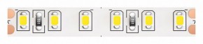 Лента светодиодная Maytoni Led strip 10153 в Александровском - alexsandrovskoe.ok-mebel.com | фото