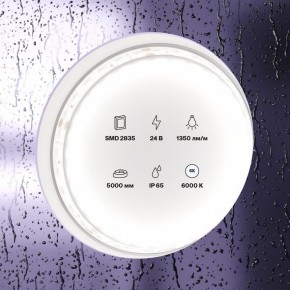 Лента светодиодная Maytoni Led strip 10153 в Александровском - alexsandrovskoe.ok-mebel.com | фото 2