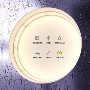 Лента светодиодная Maytoni Led strip 10157 в Александровском - alexsandrovskoe.ok-mebel.com | фото 2