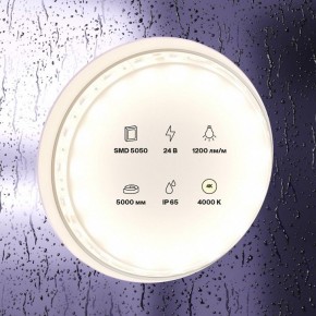 Лента светодиодная Maytoni Led strip 10172 в Александровском - alexsandrovskoe.ok-mebel.com | фото 2