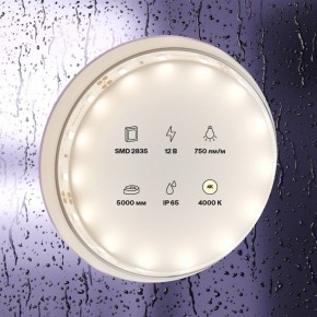 Лента светодиодная Maytoni Led strip 20005 в Александровском - alexsandrovskoe.ok-mebel.com | фото 2