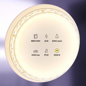 Лента светодиодная Maytoni Led strip 20022 в Александровском - alexsandrovskoe.ok-mebel.com | фото 2