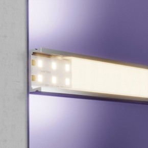 Лента светодиодная Maytoni Led strip 20028 в Александровском - alexsandrovskoe.ok-mebel.com | фото 4