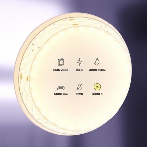 Лента светодиодная Maytoni Led strip 20031 в Александровском - alexsandrovskoe.ok-mebel.com | фото 2
