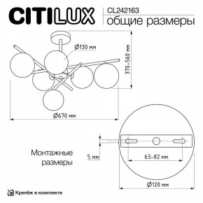 Люстра на штанге Citilux RONNY CL242163 в Александровском - alexsandrovskoe.ok-mebel.com | фото 12