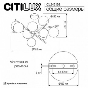 Люстра на штанге Citilux Ronny CL242193 в Александровском - alexsandrovskoe.ok-mebel.com | фото 8