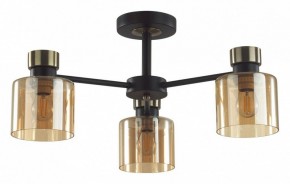 Люстра на штанге Lumion ARLIN 5643/3C в Александровском - alexsandrovskoe.ok-mebel.com | фото