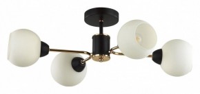 Люстра на штанге Lumion KODI 5646/4C в Александровском - alexsandrovskoe.ok-mebel.com | фото
