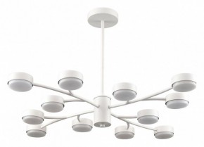 Люстра на штанге Lumion TORINA 8265/12 в Александровском - alexsandrovskoe.ok-mebel.com | фото