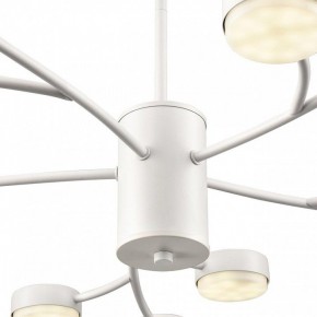 Люстра на штанге Lumion TORINA 8265/15 в Александровском - alexsandrovskoe.ok-mebel.com | фото 8
