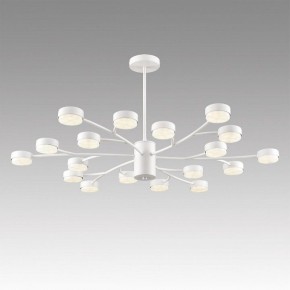Люстра на штанге Lumion TORINA 8265/18 в Александровском - alexsandrovskoe.ok-mebel.com | фото 3