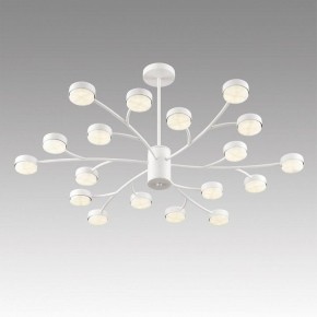 Люстра на штанге Lumion TORINA 8265/18 в Александровском - alexsandrovskoe.ok-mebel.com | фото 5