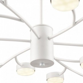 Люстра на штанге Lumion TORINA 8265/18 в Александровском - alexsandrovskoe.ok-mebel.com | фото 8