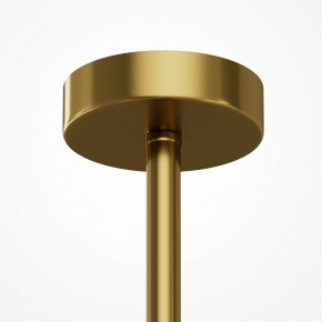 Люстра на штанге Maytoni Museo MOD436PL-07BS в Александровском - alexsandrovskoe.ok-mebel.com | фото 5