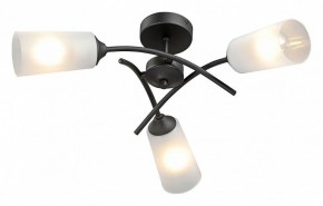 Люстра на штанге Vitaluce V2850 V2850-1/3PL в Александровском - alexsandrovskoe.ok-mebel.com | фото 2